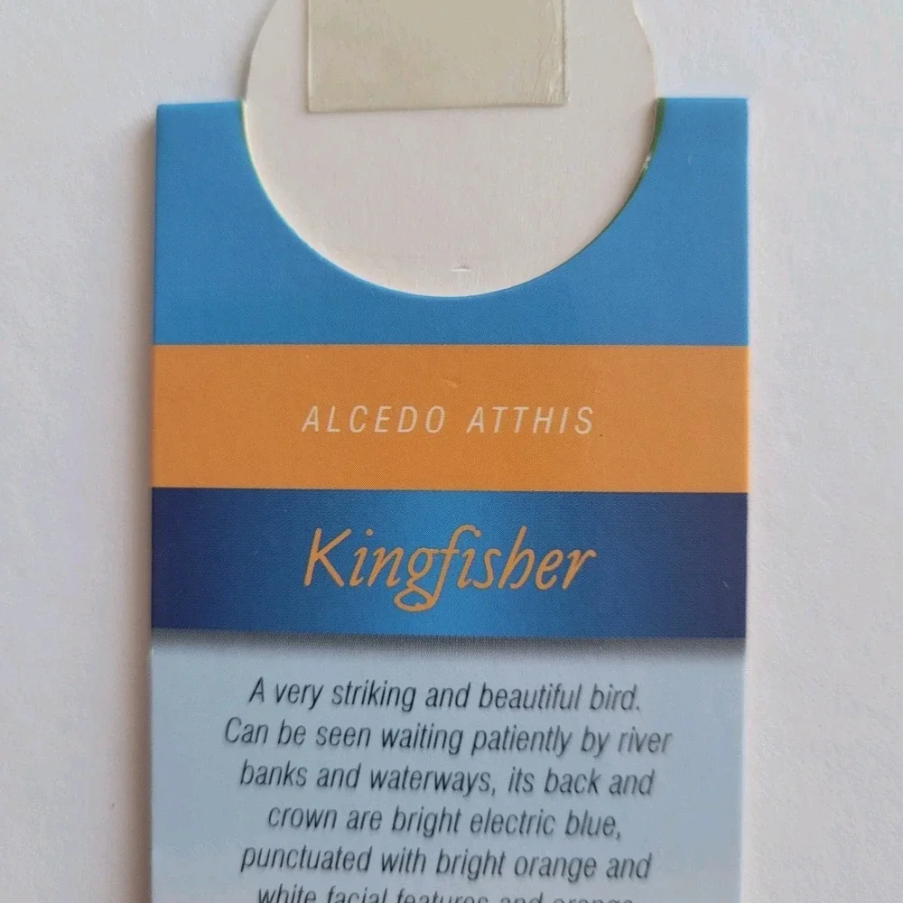 Cardmarks Kingfisher Bird Wild Nature Magnetic Magnet UK Company If 2402 Y2k 00s